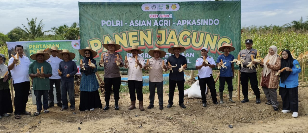 Polsek Bagan Sinembah Panen Jagung Ketapang Bersama Upika