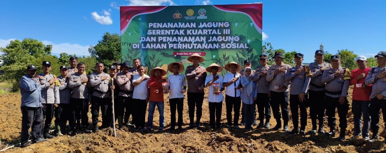 Kapolsek Bagan Sinembah Bersama Upika Tanam Jagung Program Ketapang