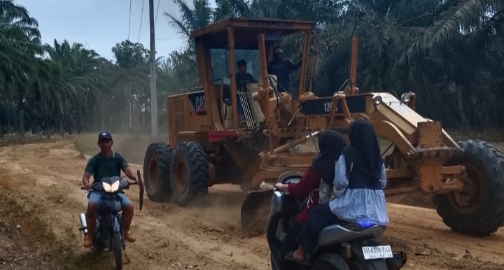 Bupati Rohil Perbaiki Jalan Pasar I Bagan Sinembah