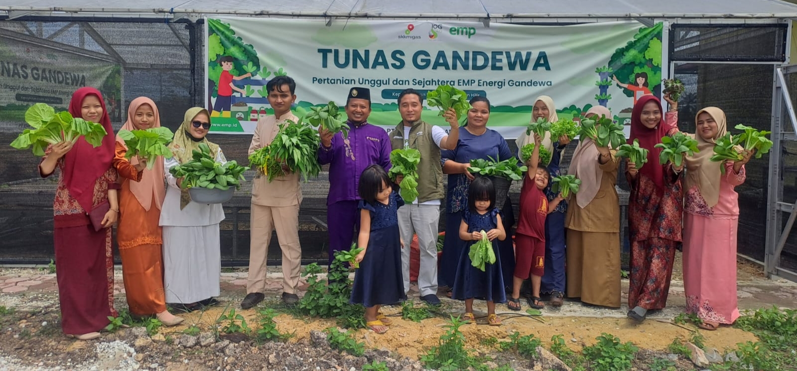PT EMP Energi Gandewa Panen Sayur Hidroponik Bersama Ibu Ibu