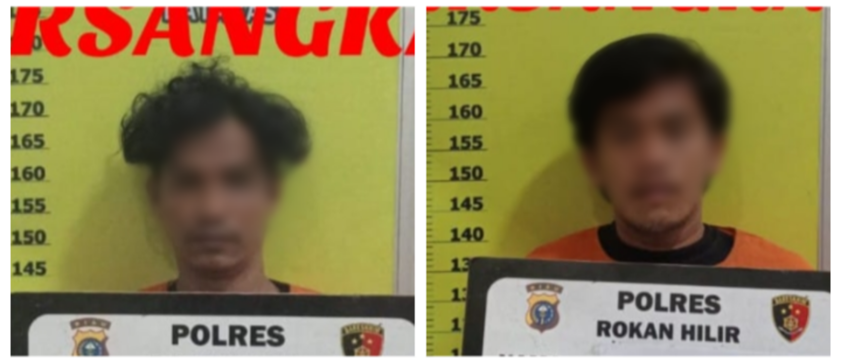 Tim Raga Polres Rohil dan Polsek Pujud Ciduk 2 Pelaku Pemerasan Dan Pengeroyokan