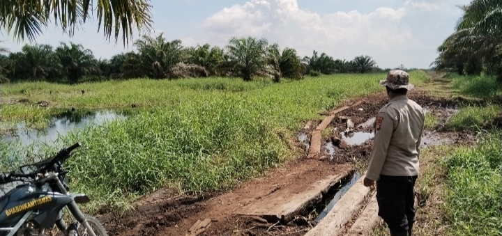 Kali Ini Polsek Pujud Sosialisasi Larangan Membakar Hutan di Babusalam Rokan