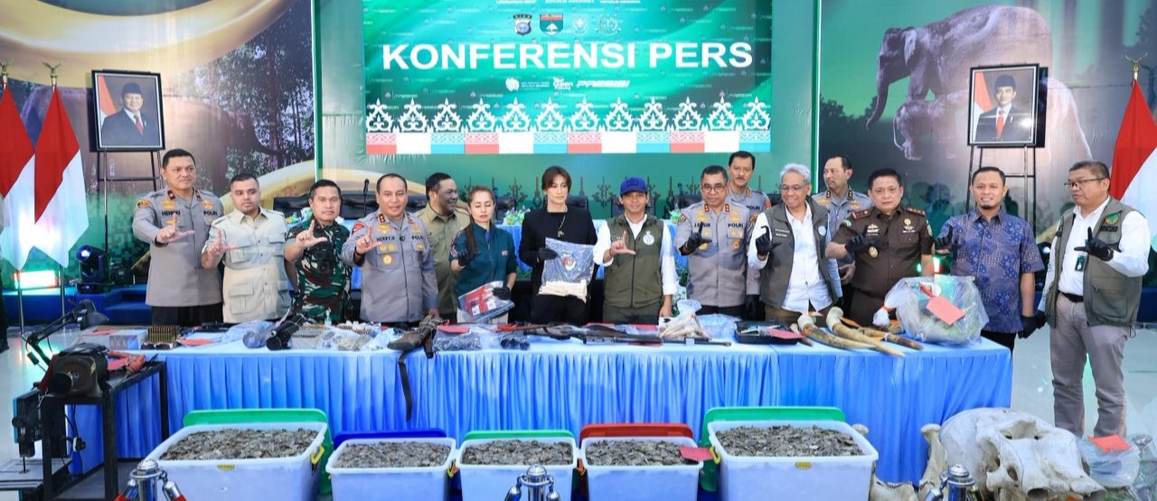 Sejarah Baru, Polda Riau Tangkap Pemburu Gajah