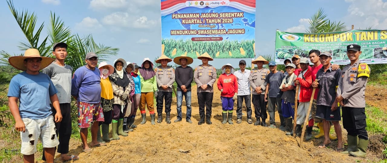 Polsek Bagan Sinembah Tanam Jagung 30 Hektare Bersama Kelompok Tani SIP