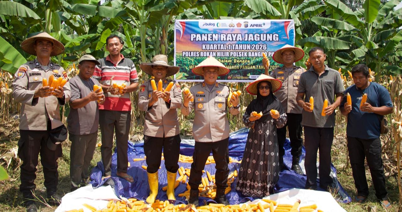 Kapolres Rohil Panen Raya Jagung Kuartal IV