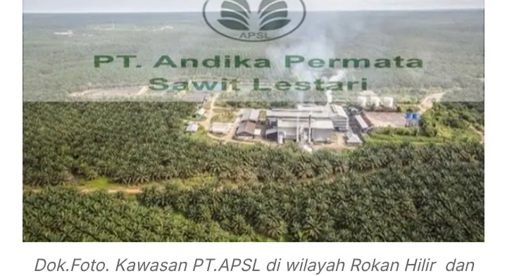 PT. APSL Diduga Tak Kantongi Izin, Satgas PKH Tertibkan Lahan